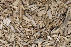 biomass boilers Stopes